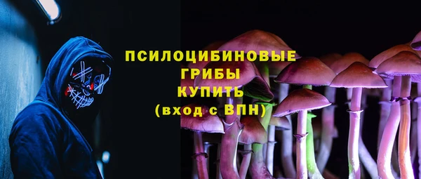 экстази Алексин
