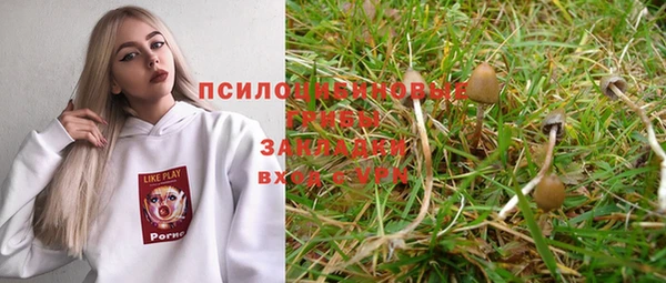 соль курить ск Алексеевка
