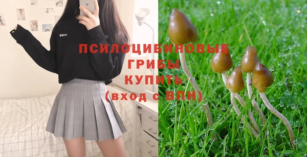 экстази Алексин