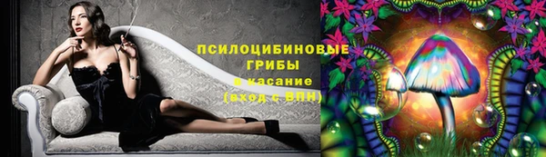 экстази Алексин