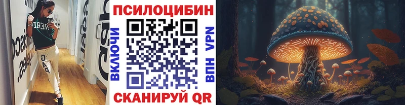 цена наркотик  Морозовск  Псилоцибиновые грибы прущие грибы 
